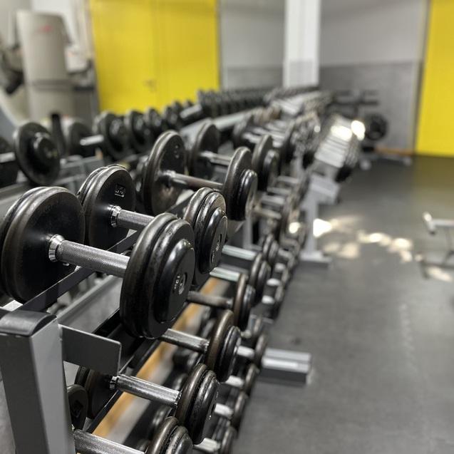 Reihe von Kurzhanteln auf einem Halter in einem modernen Fitnessstudio mit gelben Wänden im Hintergrund.