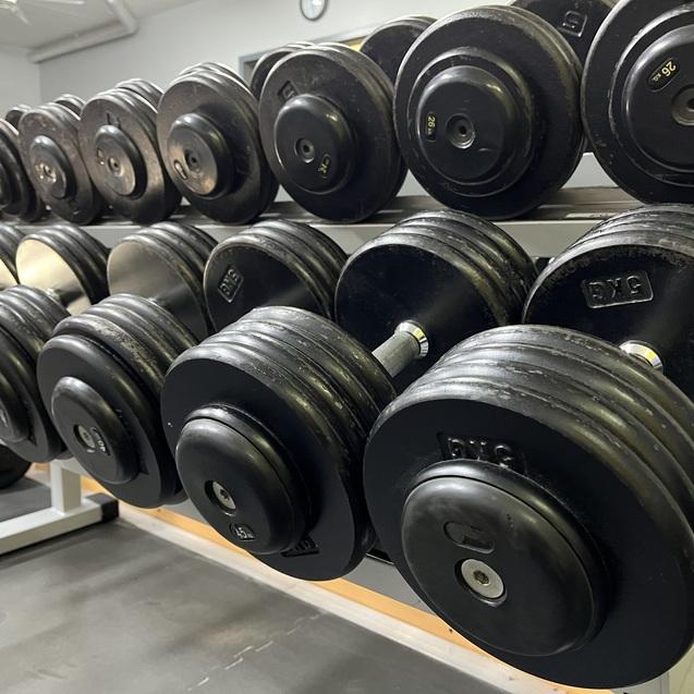 Reihe von schwarzen Hanteln auf einem Ablagetisch im Fitnessstudio.