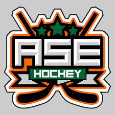 Logo von ASE Hockey mit orangefarbenem und gr&uuml;nem Design, gekreuzten Schl&auml;gern und drei gr&uuml;nen Sternen.