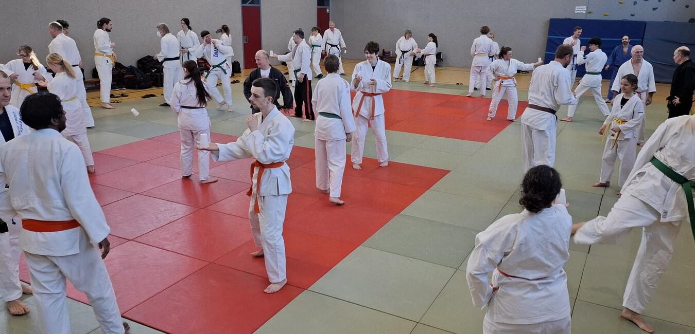 Gruppen&uuml;bung im Judo mit Teilnehmern in wei&szlig;en Anz&uuml;gen auf gr&uuml;nen und roten Matten in einer Sporthalle.