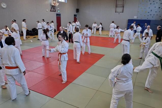 Gruppenübung im Judo mit Teilnehmern in weißen Anzügen auf grünen und roten Matten in einer Sporthalle.