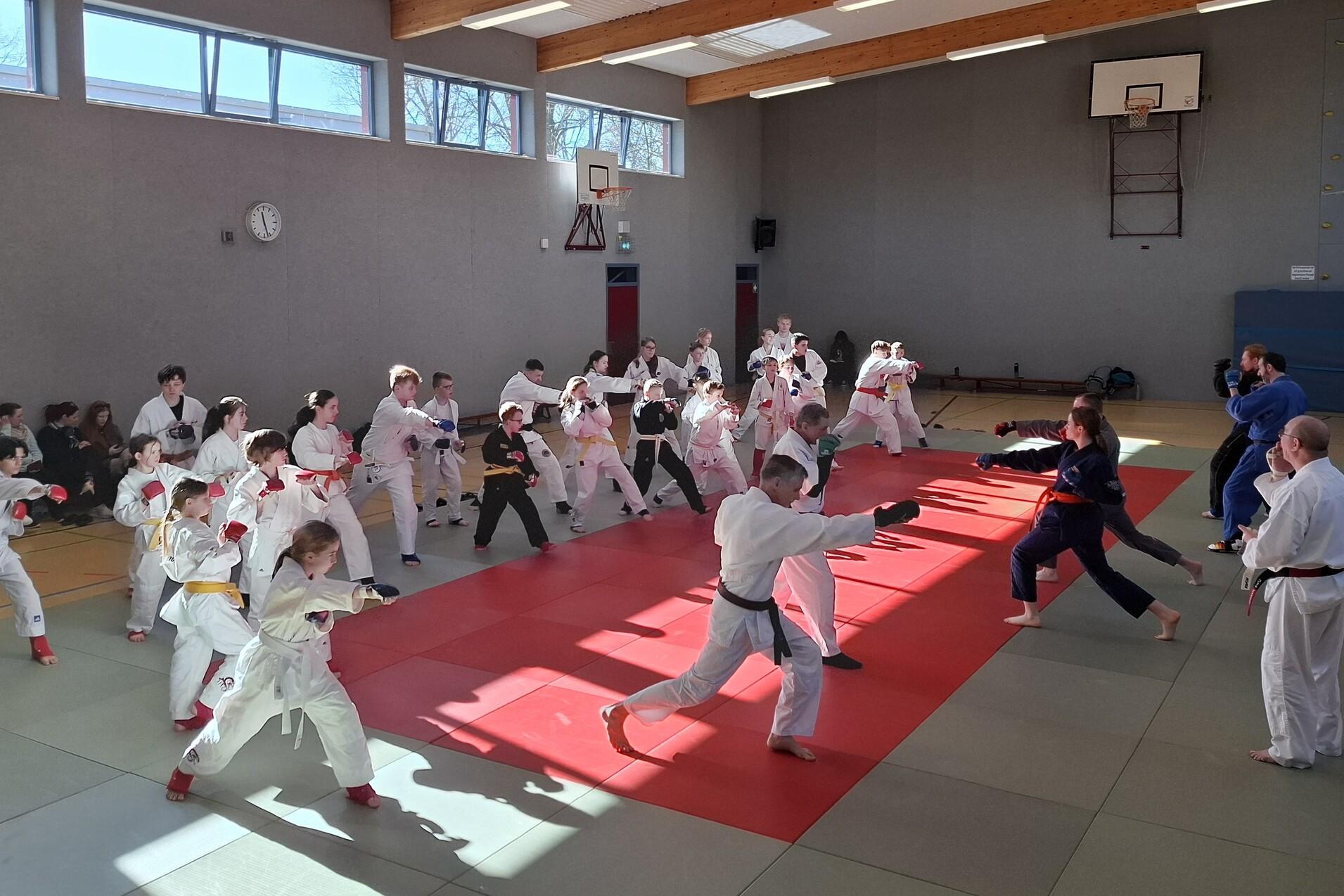 Gruppentraining im Dojo: Sportler in weißen und blauen Kimonos üben Karate auf Matten in einer Sporthalle.