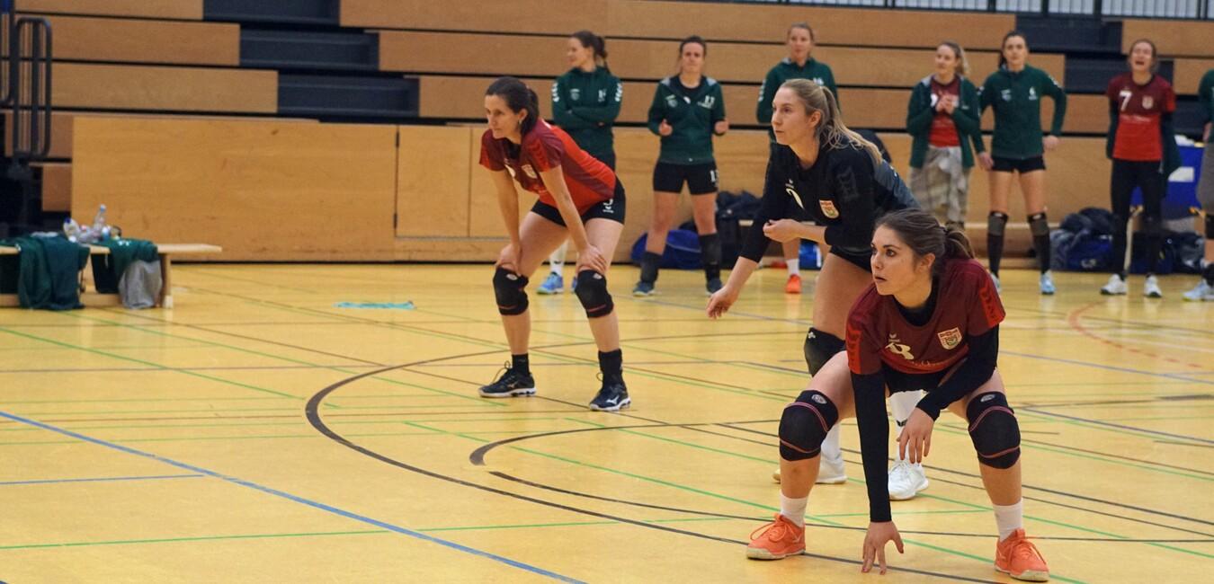 Drei Volleyballspielerinnen in Aktion, bereit f&uuml;r den Ball, auf einem gelben Volleyballfeld mit weiteren Spielerinnen im Hintergrund.