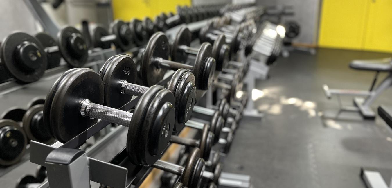 Reihe von Hanteln auf einem Gestell in einem modernen Fitnessstudio mit gelben Wänden im Hintergrund.