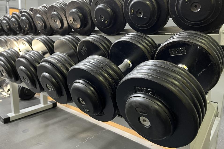 Reihe von schwarzen Hanteln auf einem Ständer in einem Fitnessstudio.