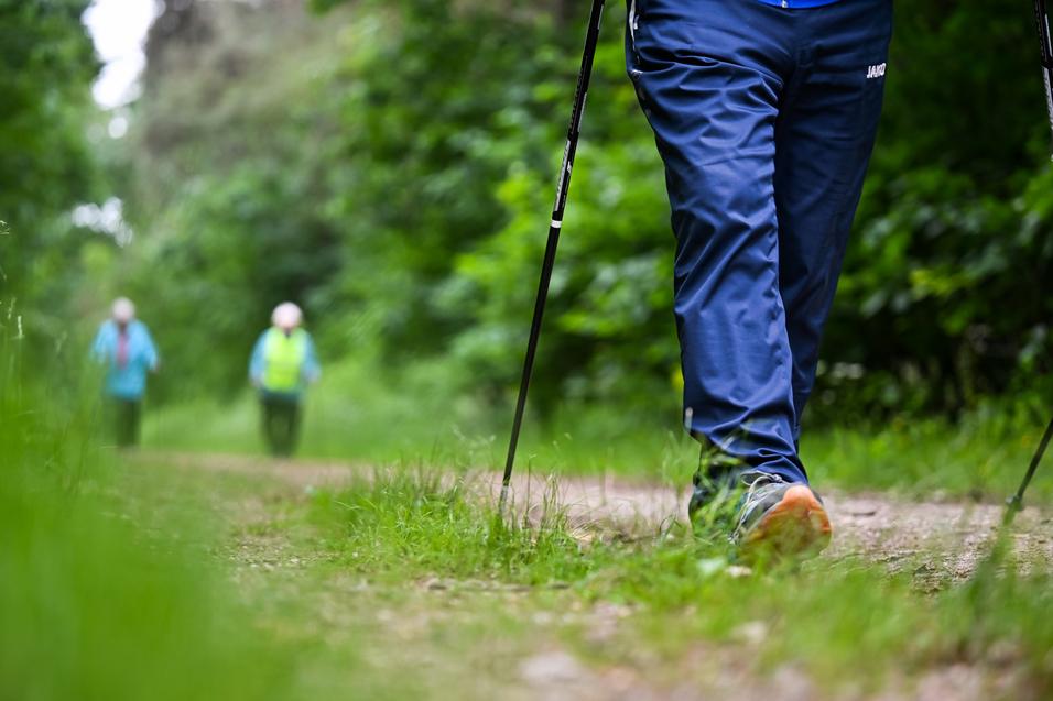 Nahaufnahme eines wandernden Fußes mit Trekkingstock auf einem schmalen Weg, im Hintergrund zwei weitere Personen.